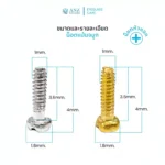 อุปกรณ์ซ่อมแว่นตา ไขควงเล็ก หัวแบน 1.6 หัวแฉก 1.8  / น็อตขาแว่นตา / น็อตแป้นจมูก - Image 4