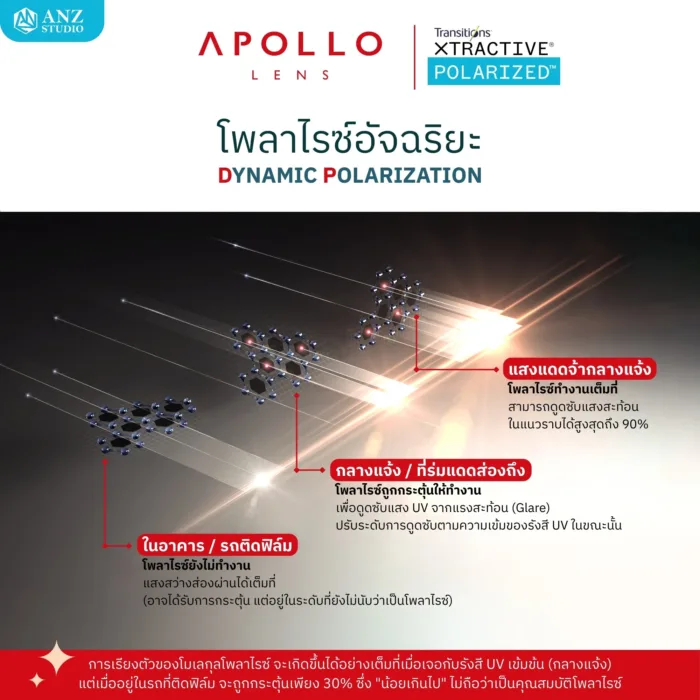 ANZ STUDIO เลนส์เปลี่ยนสี Transitions XTRActive POLARIZED (RX Lens) เลนส์ออโต้ จากแบรนด์ Apollo - Image 4