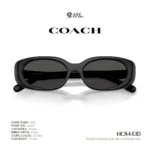 แว่นกันแดด COACH รุ่น HC8443D ทรง Oval ดีไซน์ Pillow Tabby รับประกัน 2 ปี - Image 8