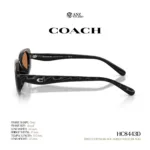 แว่นกันแดด COACH รุ่น HC8443D ทรง Oval ดีไซน์ Pillow Tabby รับประกัน 2 ปี - Image 5