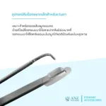 ANZ STUDIO | อุปกรณ์สำหรับช่วยใส่แป้นจมูกแบบกด Eyeglasses Nose Pad Tweezers - Image 5
