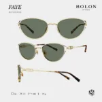 Faye_BX7010_