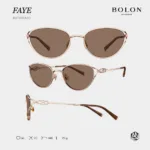 Faye_BX7010_