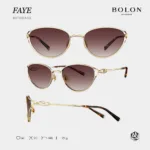 Faye_BX7010_